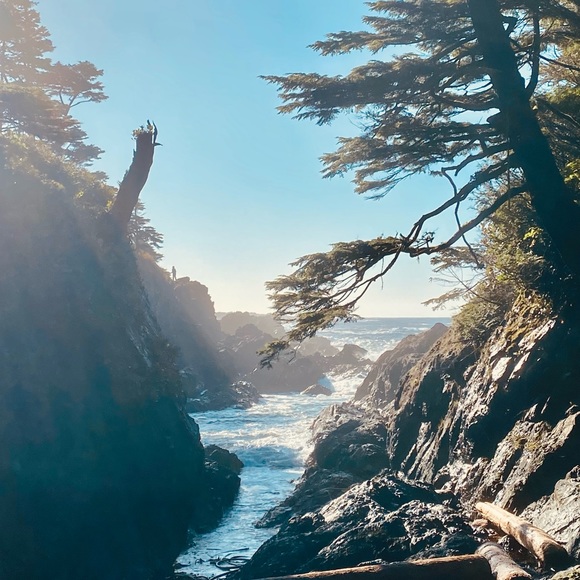 Meet your Posher, Tessa - Picture 1 of 1